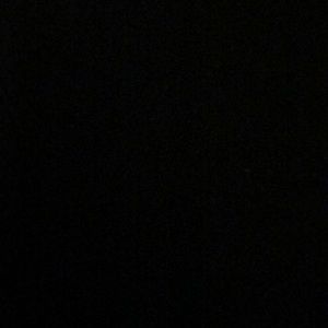 Meet your Posher, Bryan